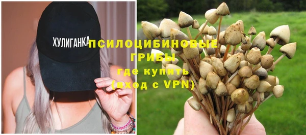 тгк Вязьма